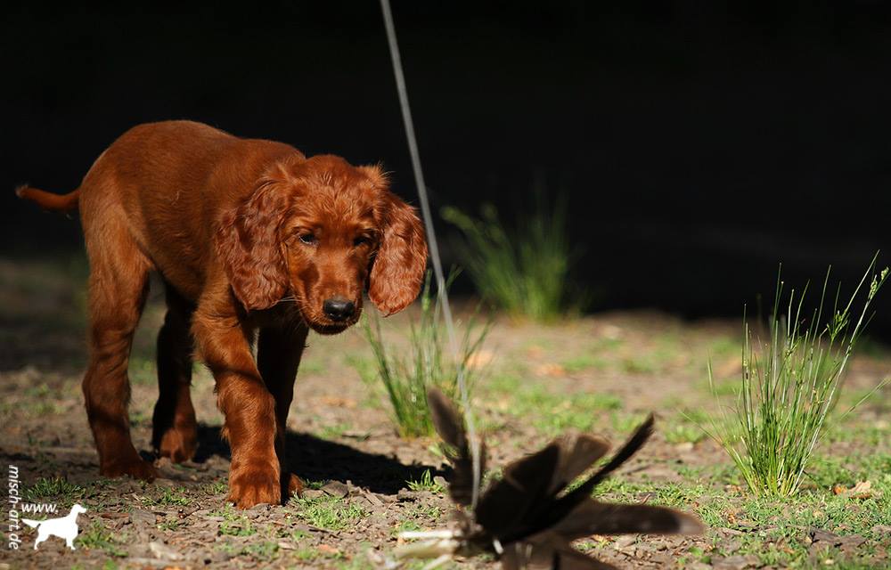 1796993 523406554444419 897405067 o